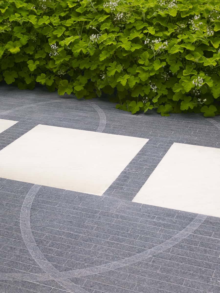 verdant walls san francisco garden design
