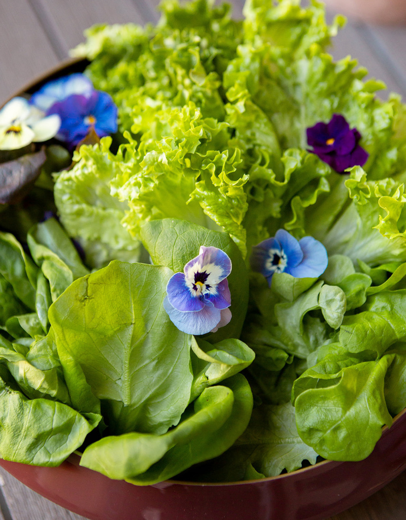 spring salad mixed greens edible flowers