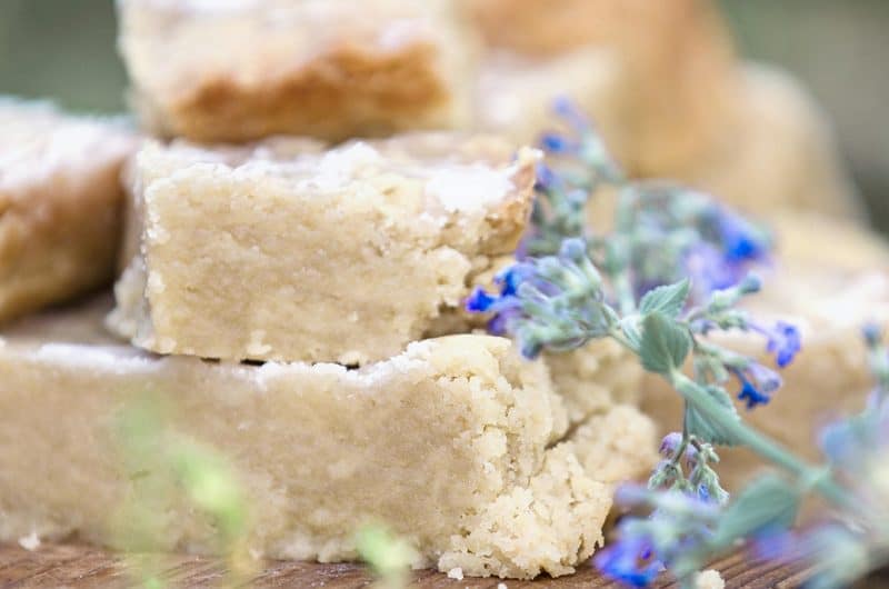 Simple Perfection Shortbread Bars